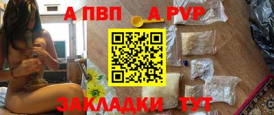 шишки Кингисепп