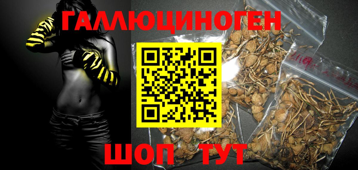 Псилоцибиновые грибы мицелий  Вход с VPN  Усть-Джегута 