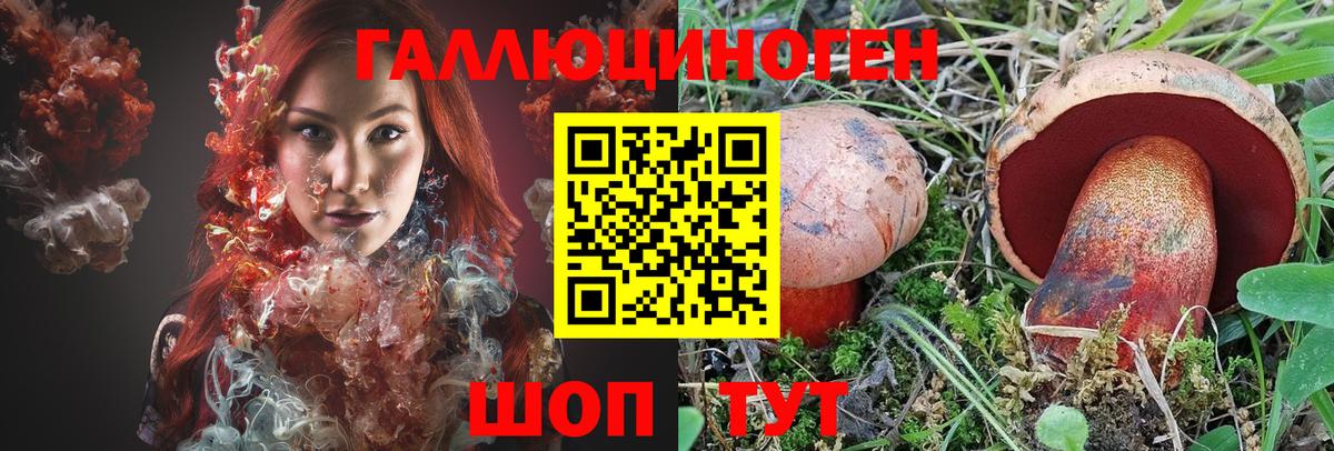 Галлюциногенные грибы GOLDEN TEACHER Усть-Джегута