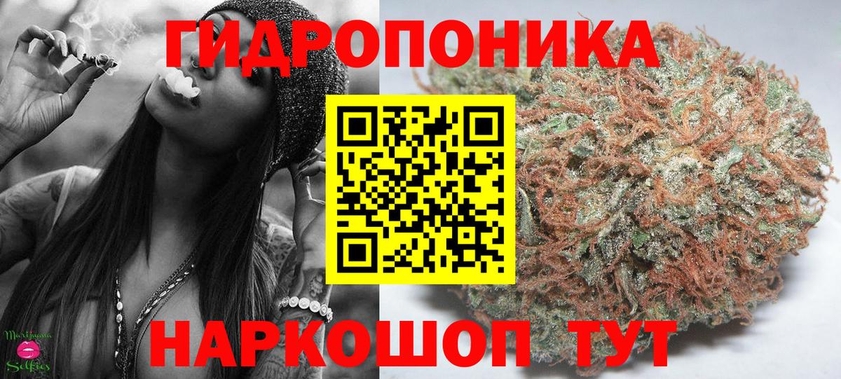 Марихуана SATIVA & INDICA  Каннабис план  МАРИХУАНА VHQ  Усть-Джегута  Вход с VPN 